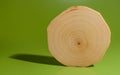 One polished and oiled alder saw cut on green background. Royalty Free Stock Photo