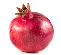 One pomegranate fruit isolated on a white background Royalty Free Stock Photo