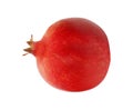 One pomegranate fruit on a white