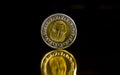 one pound coin Royalty Free Stock Photo