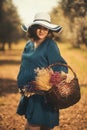 One pregnant woman with a blue dress white hat and a basketfull dry flowers in an olive field with shallow depth of field Royalty Free Stock Photo