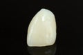 One pressed ceramic tooth