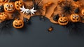 One Pumpkin Sitting on Blank Spooky Web Background