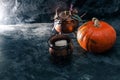 One pumpkin squash and copper or brass witch pots with candles  black background Royalty Free Stock Photo