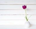 One Purple Spring Tulip in a Small Modern Light Gray Vase on a White Table and against distressed shiplap wood board background wi Royalty Free Stock Photo