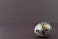 A golden egg. Easter egg. Modern Easter eggs Royalty Free Stock Photo