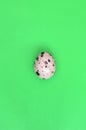 One quail egg on a light green surface, top view, empty place fo
