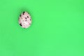 One quail egg on a light green surface, top view, empty place fo