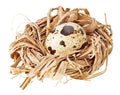 One quail eggs in the straw nest
