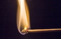 One quiet burning match on black background. Royalty Free Stock Photo