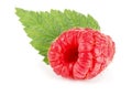 One raspberry with leaf isolated on white background macro Royalty Free Stock Photo