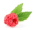 One raspberry with leaf isolated on white background macro Royalty Free Stock Photo