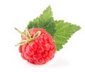 One raspberry with leaf isolated on white background macro Royalty Free Stock Photo