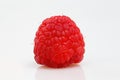 One raspberry lying on a white table isolated on white background Royalty Free Stock Photo