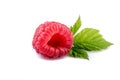 One raspberry and mint leaf on white Royalty Free Stock Photo