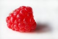 One raspberry on white background Royalty Free Stock Photo