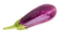 One raw aubergine isolated Royalty Free Stock Photo