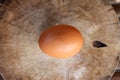 One raw brown egg laying on a wooden cutting board