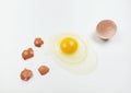 One raw chicken egg with yellow yolk and clear white egg in three layers and broken eggshell in pieces isolated on white