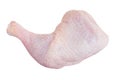 One Raw chicken leg drumsticks isolated on a white background Royalty Free Stock Photo