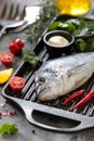 One raw dorado fish with spices, lemon and parsley in a black grill pan on a white concrete background. Healthy eating and tasty Royalty Free Stock Photo