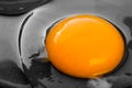 One raw egg in a black frying pan. Transparent white and bright round yellow yolk. The concept of the process of cooking a simple Royalty Free Stock Photo