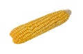 Fresh cob corn isolated at white closeup Royalty Free Stock Photo