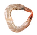 One raw shrimp Royalty Free Stock Photo