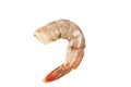 One raw shrimp. Royalty Free Stock Photo