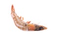 One raw shrimp. Royalty Free Stock Photo