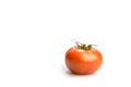 One realistic looking tomato lying isolated in a white background