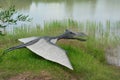 The one of reconstructions of Mesozoic Pterodactyloidea