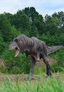 The one of reconstructions of Mesozoic Tyrannosaurus