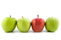 One red apple among green apples Royalty Free Stock Photo