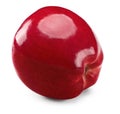 one red apple isolated on white background. clipping path Royalty Free Stock Photo