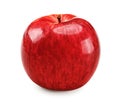 one red apple isolated on white background. clipping path Royalty Free Stock Photo