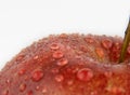 One red apple macro on a white background Royalty Free Stock Photo