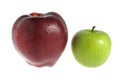 One red apple and one green apple covered by water drops Royalty Free Stock Photo