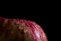 One red apple`s detail on a black background, close up, macro photography Royalty Free Stock Photo