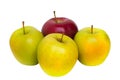 One red apple and three yellow apples Royalty Free Stock Photo