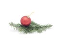 One red ball on Christmas tree branch isolated on white background. Royalty Free Stock Photo