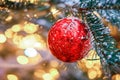 One red ball covered with snow as a decoration for the New Years celebration, golden bokeh. Winter christmas tree with bauble, Royalty Free Stock Photo