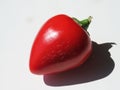 One red bell pepper on white background Royalty Free Stock Photo