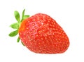 One red berry fresh strawberry Royalty Free Stock Photo