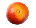One red blood orange fruit isolated on white background Royalty Free Stock Photo