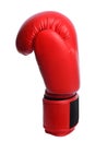 One Red boxing mitts on a white background