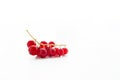 One red brunch of currant on white background