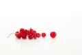 One red brunch of currant on white background