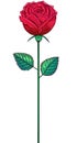 One red bud rose on a stem Royalty Free Stock Photo