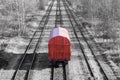 One red car stands on rails in middle of the forest, black and white photo. visualization of loneliness in the network